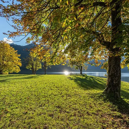 Dream & Relax Bohinj